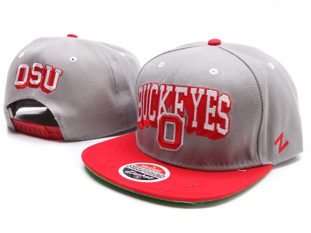 Zephyr Ohio State Buckeyes Snapback Hat NU01